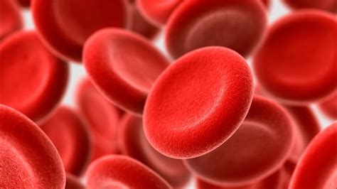 hemoglobin nedir normal degeri kac olmali webtekno