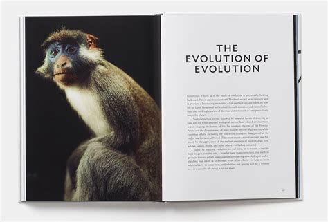 Evolution A Visual Record 2