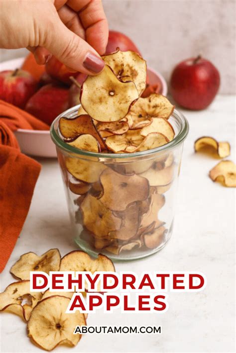 Dehydrated Apples (Dried Apples in Oven) - About a Mom