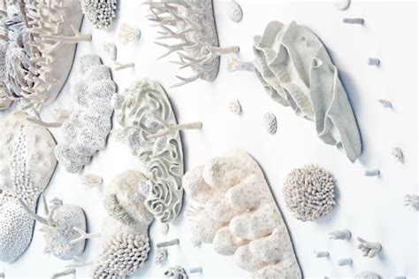 Artist creates intricate coral art to send message about climate change ...