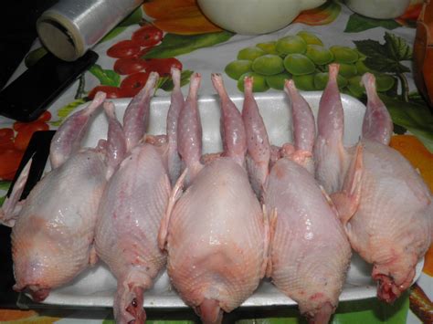 Перепелка - полезные и опасные свойства мяса перепелки