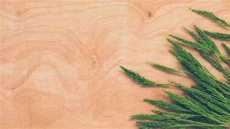 whet stock  images  backgrounds