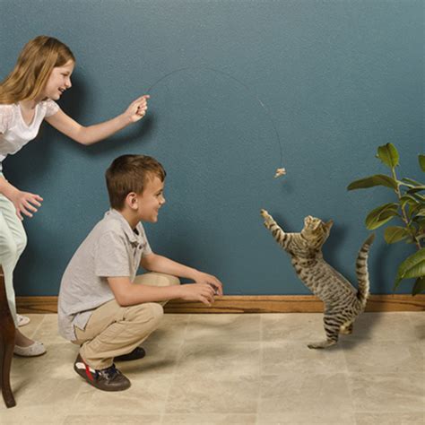 cat dancer toys 2