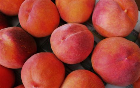 Donut Peach Wallpaper at Larry Alvarez blog