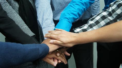 Free photo: Teamwork, Co-Workers, Office - Free Image on Pixabay - 383939
