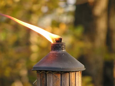 order   torch maintaining  flame alpha lambda delta