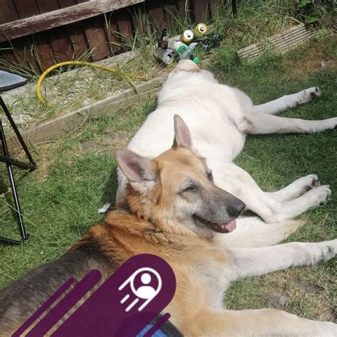 Xo Luscious Women xo added a new photo. - Xo Luscious Women xo