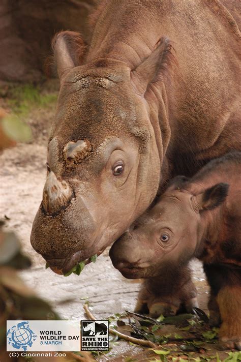 viksters atviksters twitter