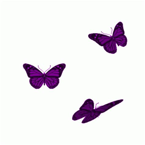 Butterfly(s) - Butterflies Fan Art (43525925) - Fanpop - Page 7