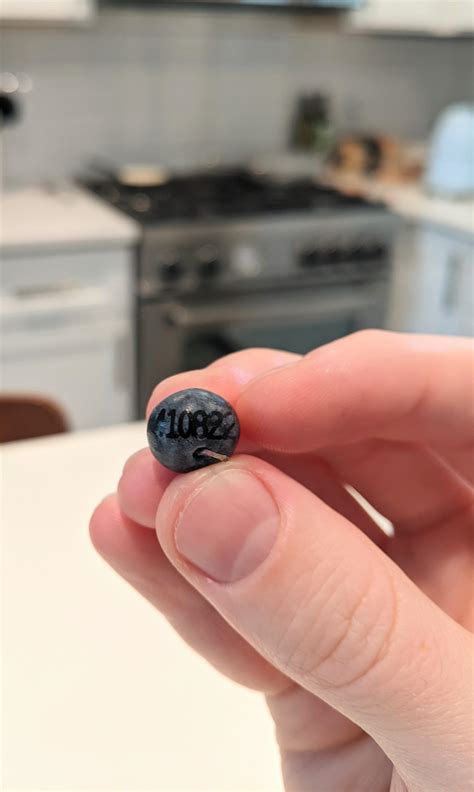 My blueberry had an expiration date on it : r/mildlyinteresting