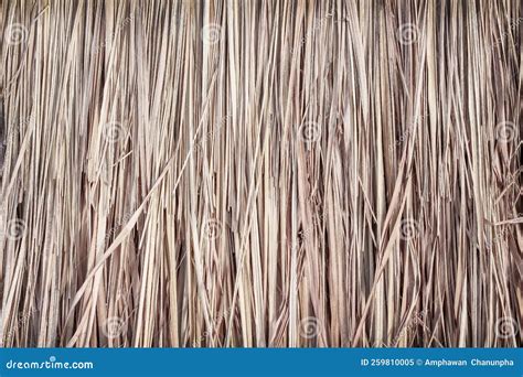 straw texture natural patterns light brown background stock image