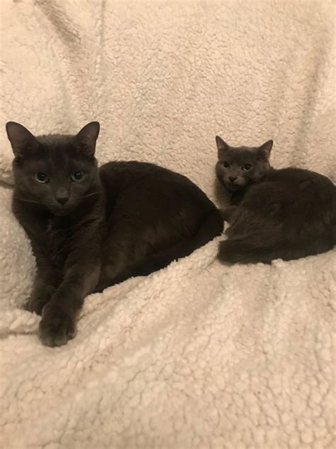 Travelers are sharing their favorite directions from Indianapolis online