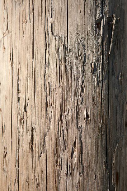 power pole texture stock  pictures royalty  images