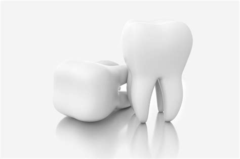 L'anatomie d’une dent (Bouche 101) - ODQ