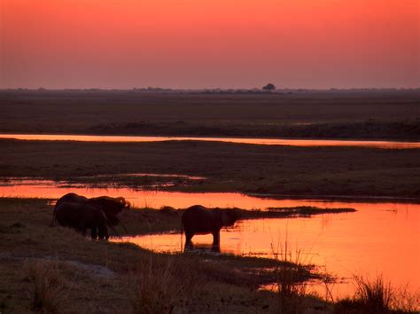 399 best Botswana images on Pholder | Animal Porn, Wildlifephotography