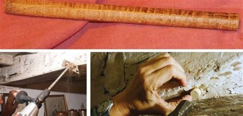 timber samples  reveal  age   building international timber