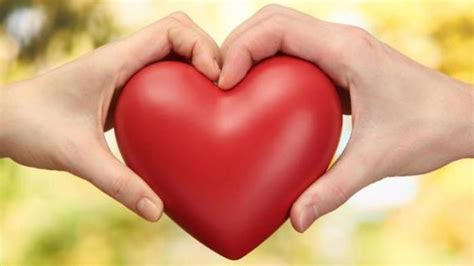 renungan minggu berbelas kasih  allah bapa tribunmanadocoid