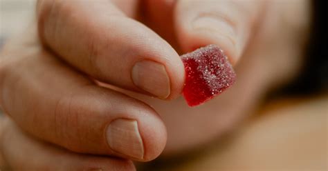 cannabis   changing      york times