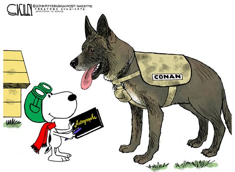 Kelley The Dog 11