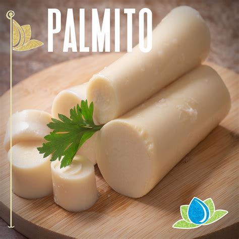 De Onde É Extraído O Palmito