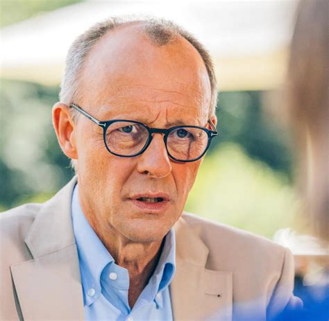 cdu chef merz macht ampel parteien erneut fur erstarken der afd
