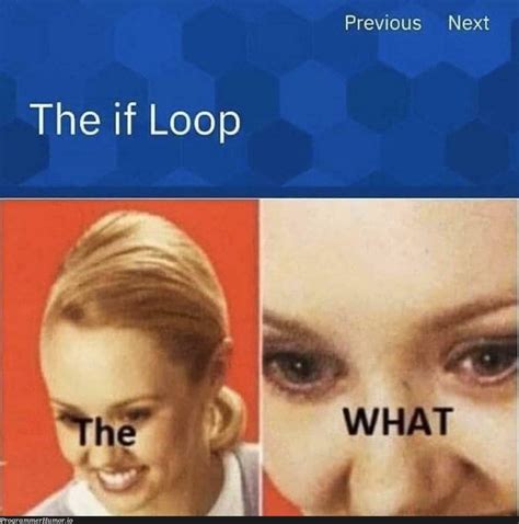 good ol  loop programmerhumorio