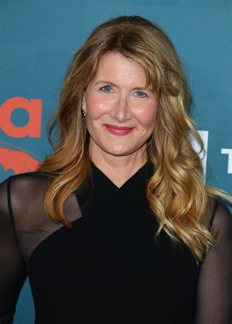 Best 12 What We Know About Laura Dern’s Divorce – Artofit