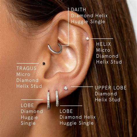 Helix Piercing Guide | ppgbbe.intranet.biologia.ufrj.br