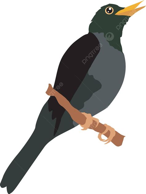 arti mimpi menangkap burung jalak hitam 1