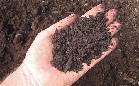 compost soil mains landscape supply