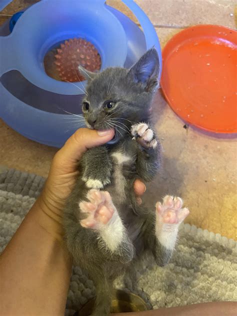 Bitey peets : r/spreadytoes