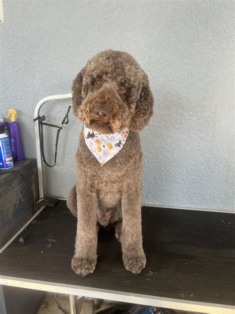 Pedestrians at 63rd and lex demand better safety crossings 20