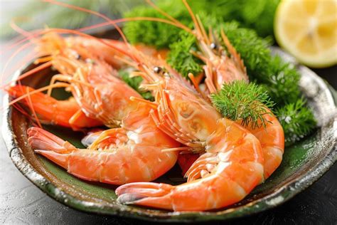 prawn fish stock  images  backgrounds