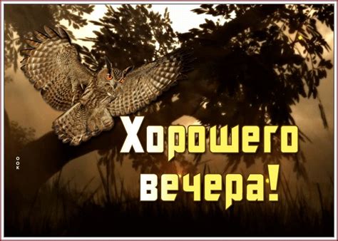 Открытка нескучного вечера | Открытки Онлайн
