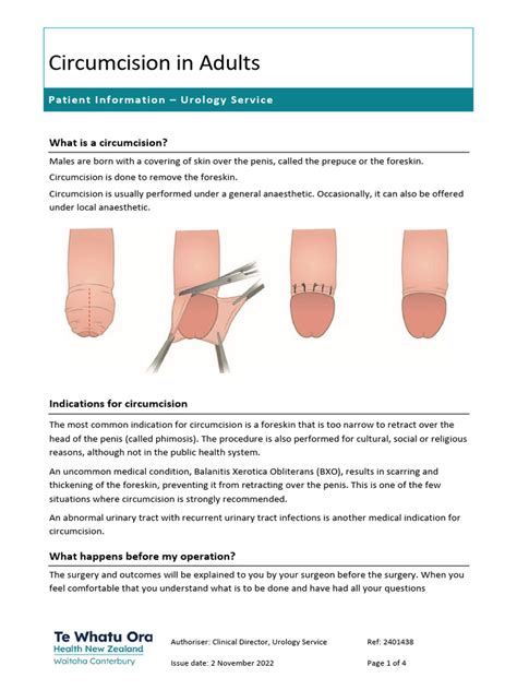 Circumcision-in-Adults | PDF | Circumcision | Surgery