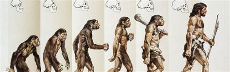 complete    complete human  relations  web