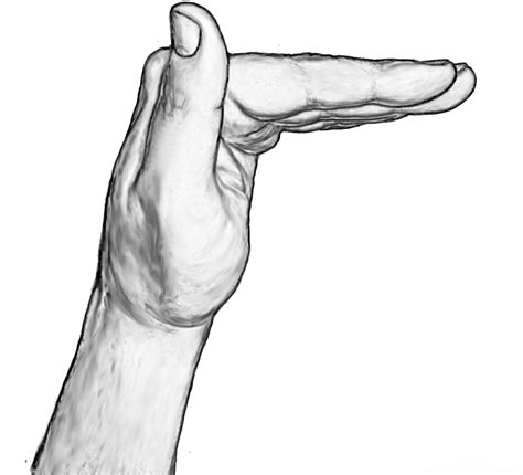 Why the hand shape for asl for bathroom is surprisingly simple 3