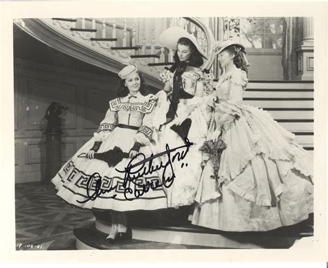 lot detail    wind collection