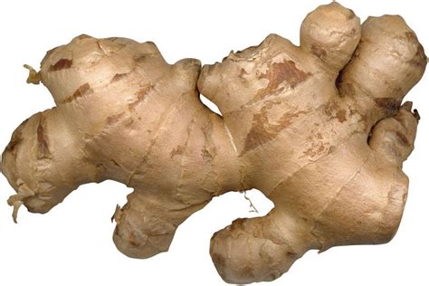 Ginger | Description, Plant, Spice, Rhizome, Uses, Flavor, & Facts ...