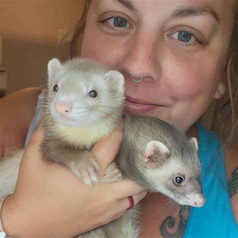 Homebound Pet Sitting added a new... - Homebound Pet Sitting