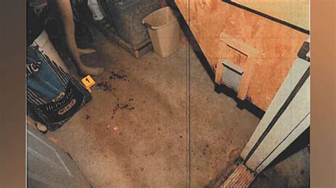 Exclusive: Never-Before-Seen Evidence in the Laara Rose Case - boxi9lx