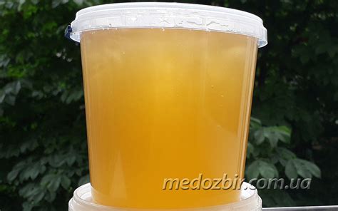 Липовый мед. Купить липовый мед.
