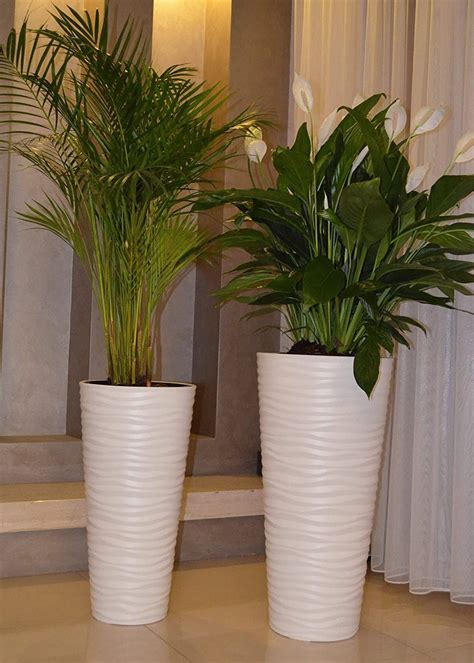 macetas de interior modernas macetas