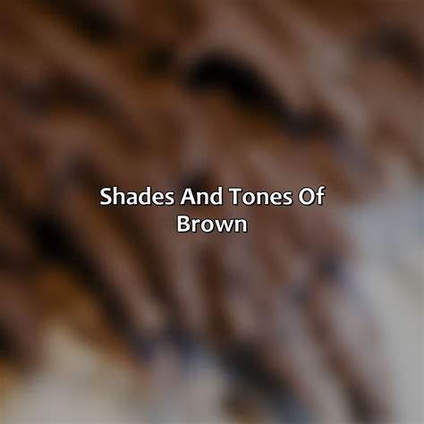 colors   color brown colorscombocom