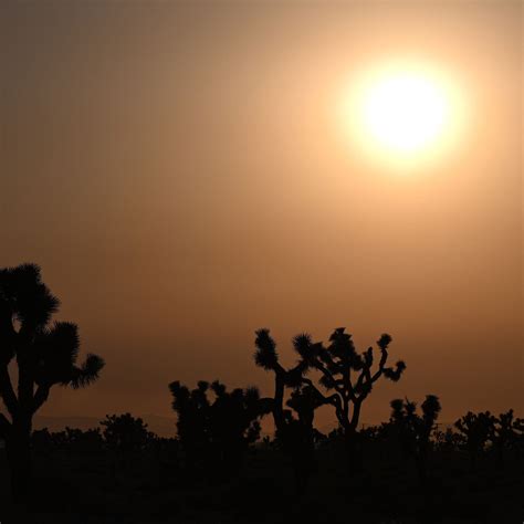 The weather natural bridge forecast shows a surprising heat wave 12