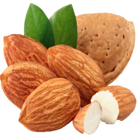 Benefits of Almonds - App on the Amazon Appstore