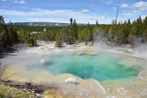 Man boiled alive in acidic Yellowstone hot spring named as Colin ...