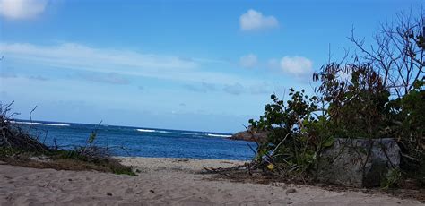 A untouched beach : r/beach