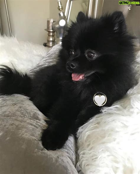 Natasha Slayton Wiki, Biography, Age, Gallery, Spouse and more