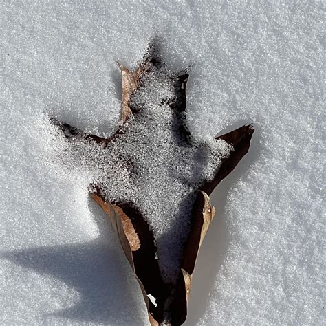 Stacey Hayes - Did you have a good #laborday ? #poolday for me! It